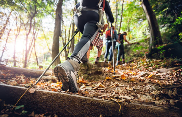 Take a Nature Walk or Bike Ride 