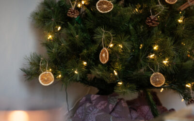 7 Christmas Tree Ideas for a Little Holiday Inspo
