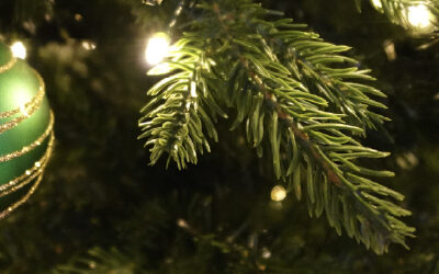 Know Your Needles: Benefits of PVC and PE Christmas Trees