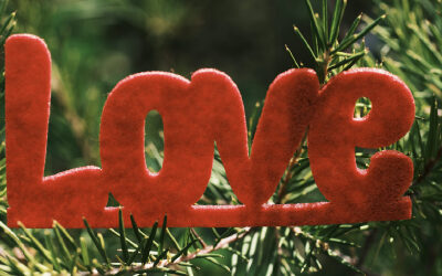 Celebrate Everlasting Love with an Everlasting Valentine Tree